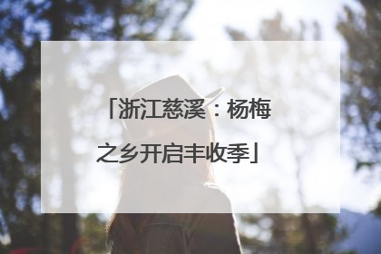 浙江慈溪：杨梅之乡开启丰收季